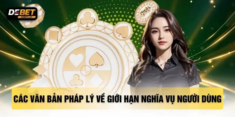 Các văn bản pháp lý về giới hạn nghĩa vụ người dùng