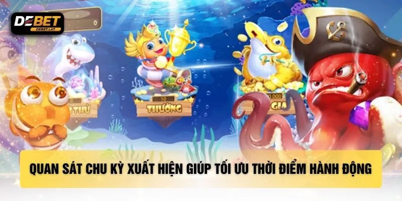 Quan sát chu kỳ xuất hiện giúp tối ưu thời điểm hành động
